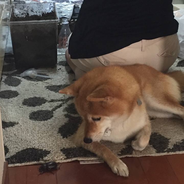 5ed8e669 95b4 4a9d ac81 57f40a4ef046