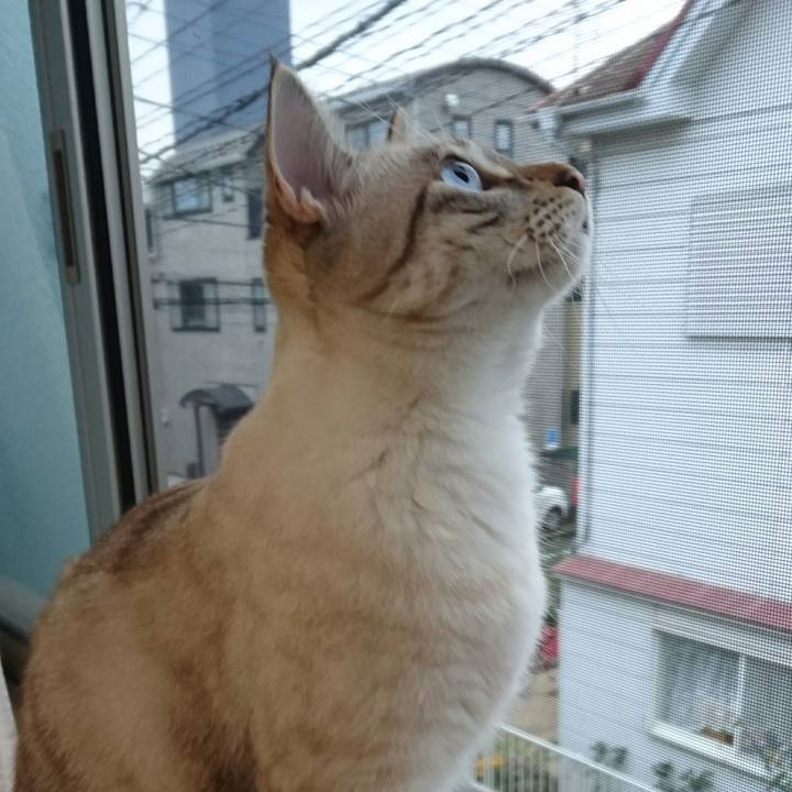 5ed91766 3efe 45e0 83e5 243ca7e60c58