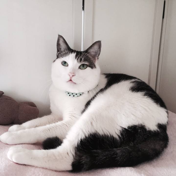 5ed97abe b4de 4de6 87e2 e62ce3840c78