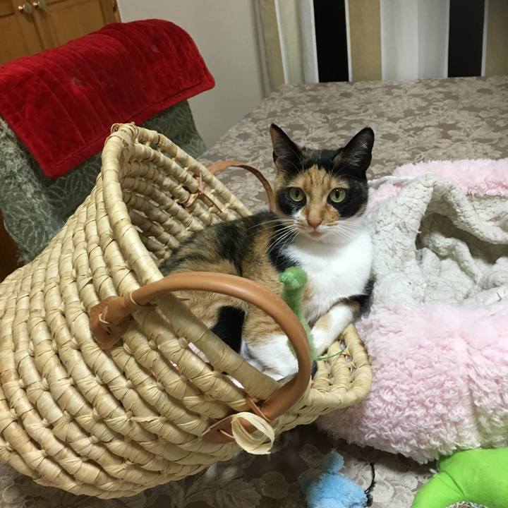 5ed98f4e 98cd 4877 b749 6c15989b700b