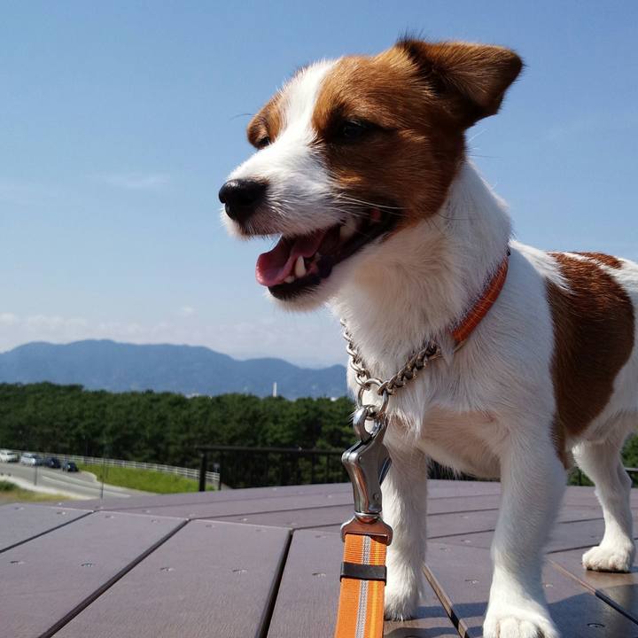 5eda1b35 cfea 42fd 91e2 123df63ab25c