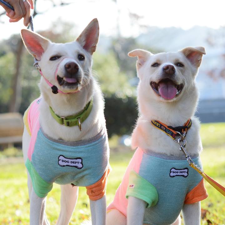 5eda4a47 829d 49c1 8f3a 928f5aa7309c