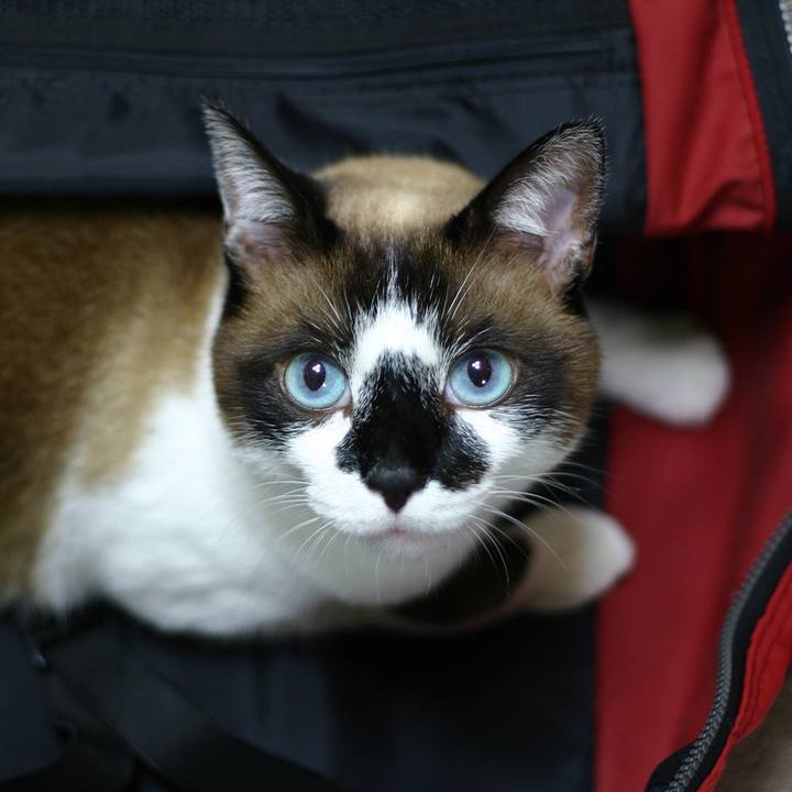 5eda6b04 8f04 4a5e 94f6 284a7a27c519