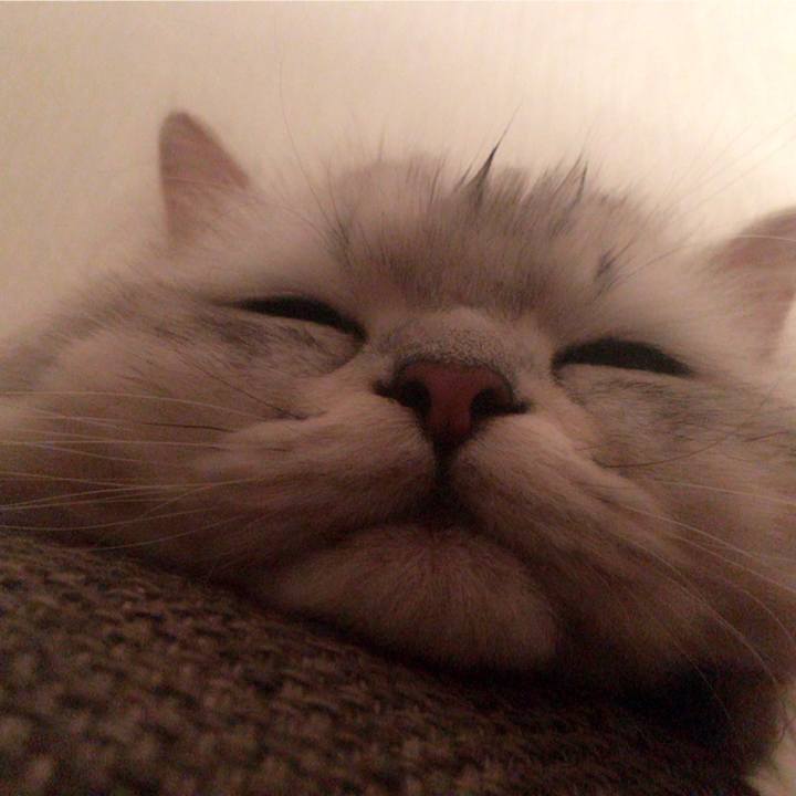 5eda7dcd bdaa 4a29 bc79 67cd57e70047