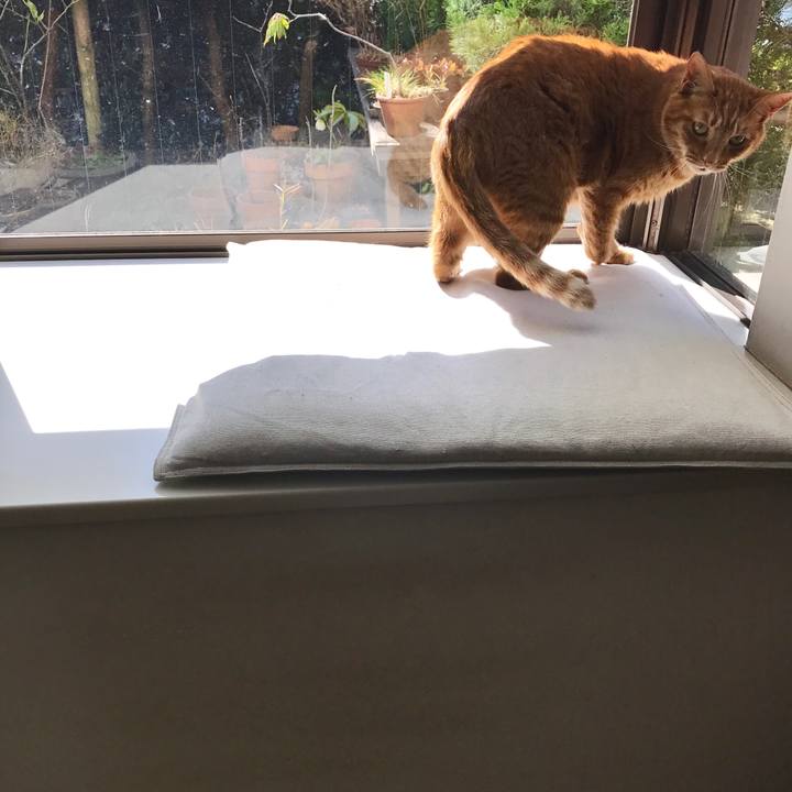 5edad195 9128 46e2 ac22 530398270ccb