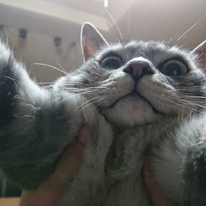 5edaff3f d1a0 4821 b0a6 fee58dca1c53