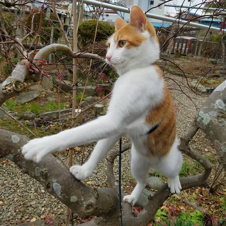 5edb6787 cbbd 4653 9ac4 a0b7af77b166