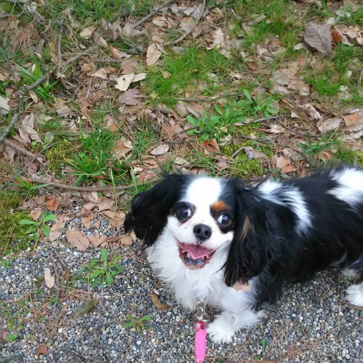 5edc40f2 d3f9 4b03 af7a 2a2a2e02ac56