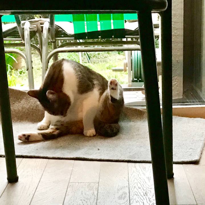 5edc8af7 5e9b 4440 b55d cc410464317c