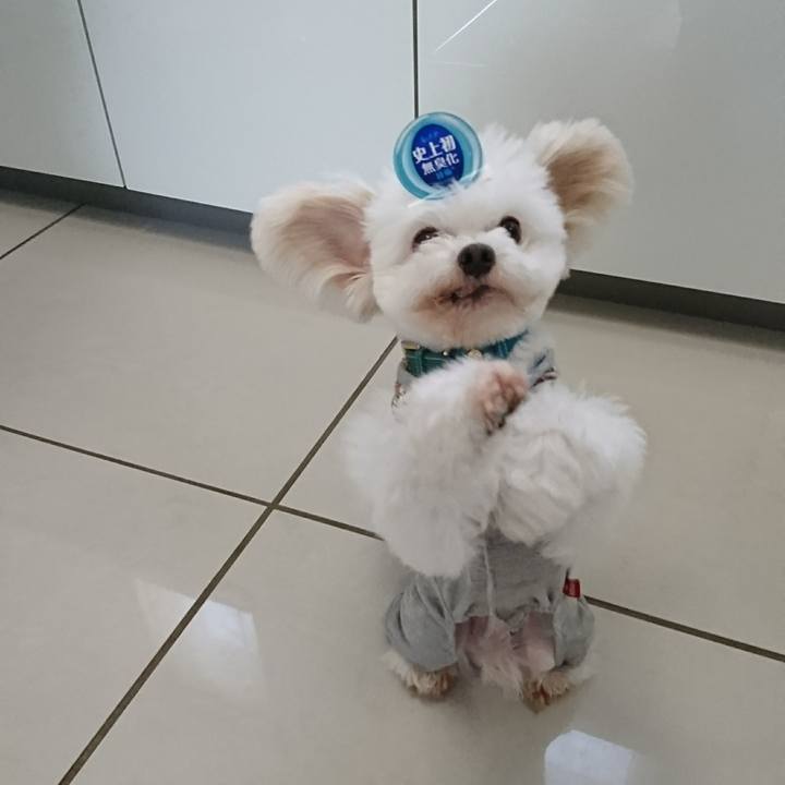 5edcf3e4 51a7 4f0d 9020 0dee7e1f5222