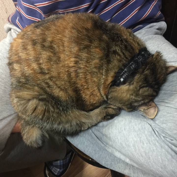 5edd3d12 51e4 4cb6 8673 7cd5985c5443