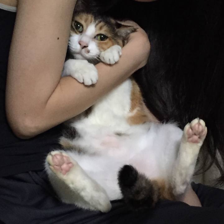 5ede04d0 ebc9 4472 8d02 329336b9f480