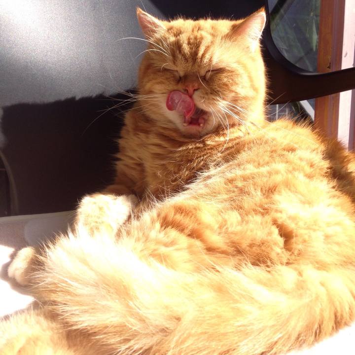 5ede13e4 7b94 480a af6f 48031c34fcf4