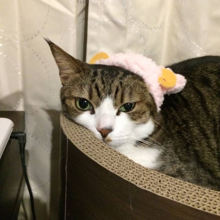 5ede189e eb54 48b8 bdd1 eec735b162be