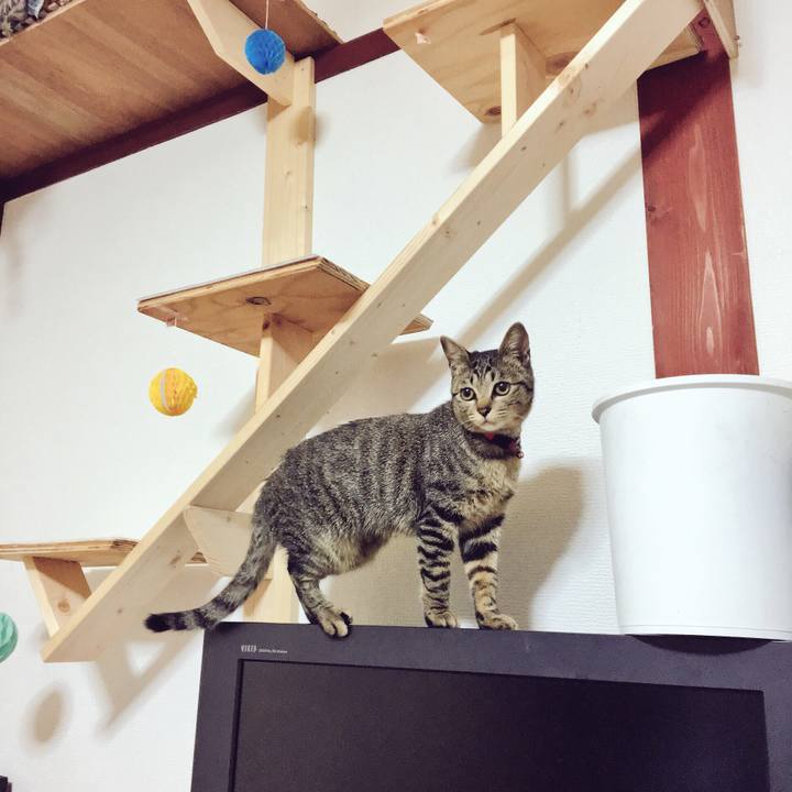 5ede628f f9f9 41af b350 2ea535e490dd