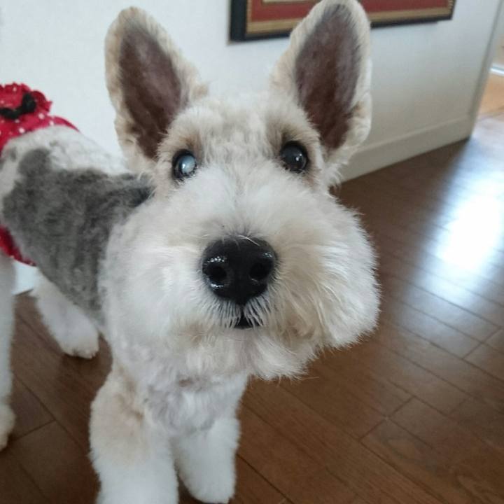 5edf6989 0e53 41f0 aed8 fcfeff2b23fe