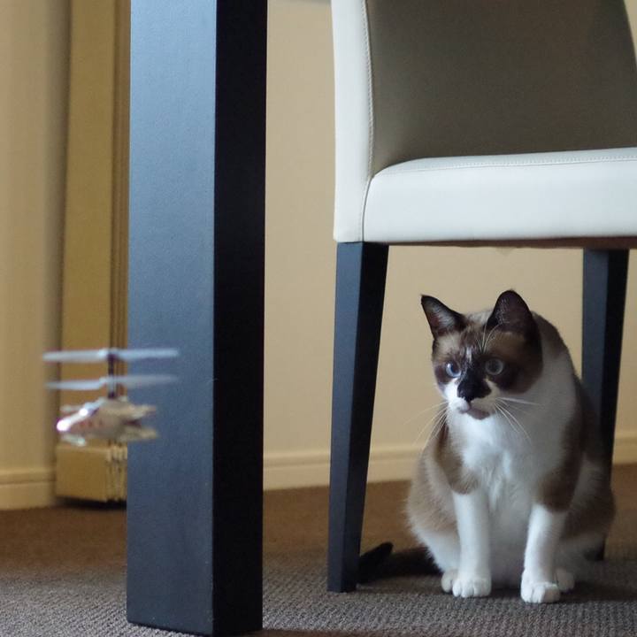 5edfff70 6a56 4332 a265 5b48e83e2a42