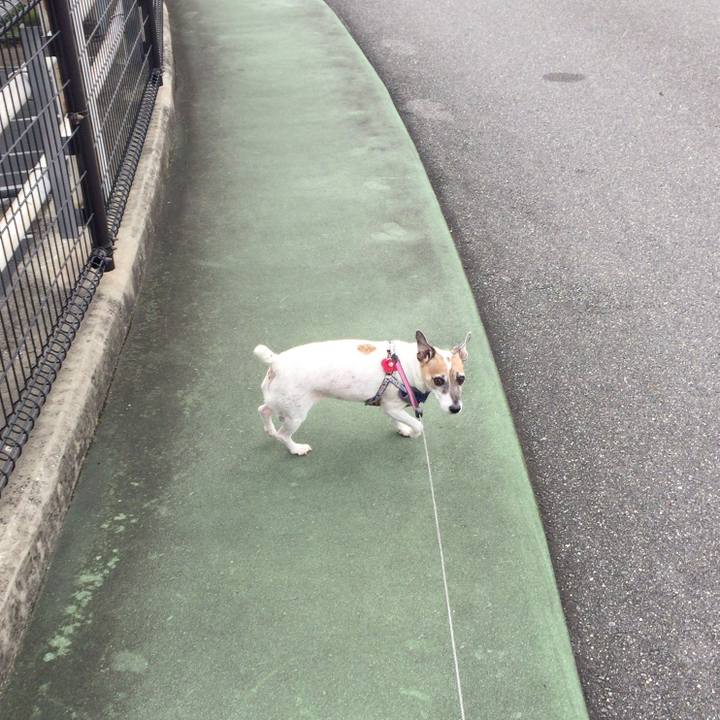 5ee004be 6bb5 4a84 bf89 b19c24f86514