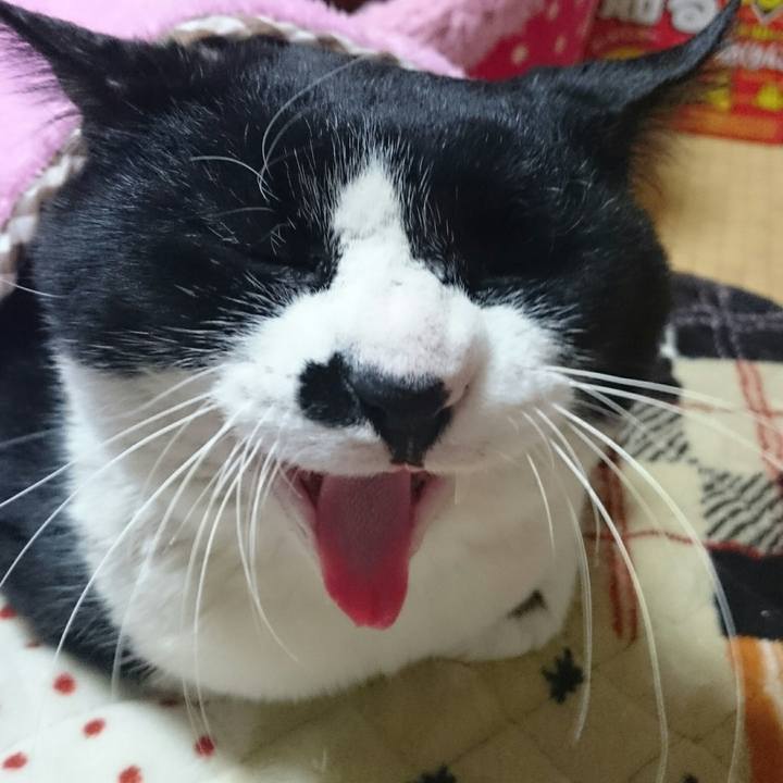 5ee0448b 4427 43dd a8e2 c444730b5eab