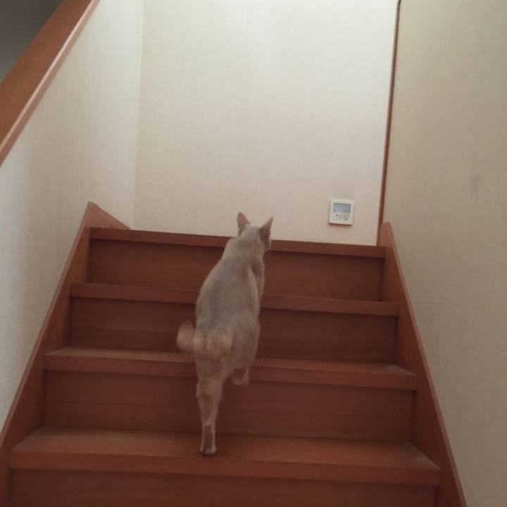 5ee072d5 2f11 4551 a823 57b8a9d84408