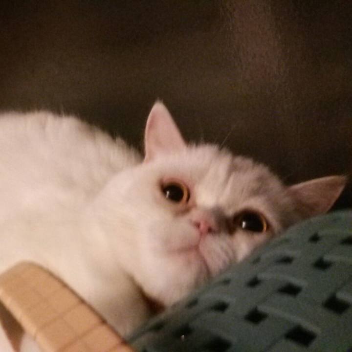 5ee193ce a70d 4472 bb3d 069ed5c0c7bc