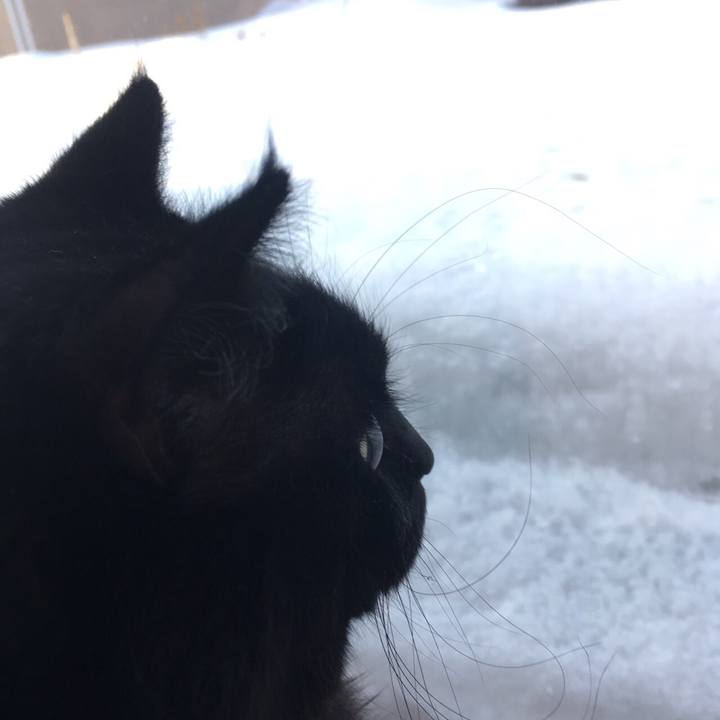 5ee1e10b 3912 408a 8fcb 1032836da22a