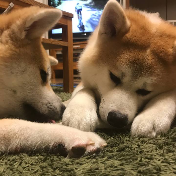 5ee2355d 7245 42f2 a032 9712bb2c3128