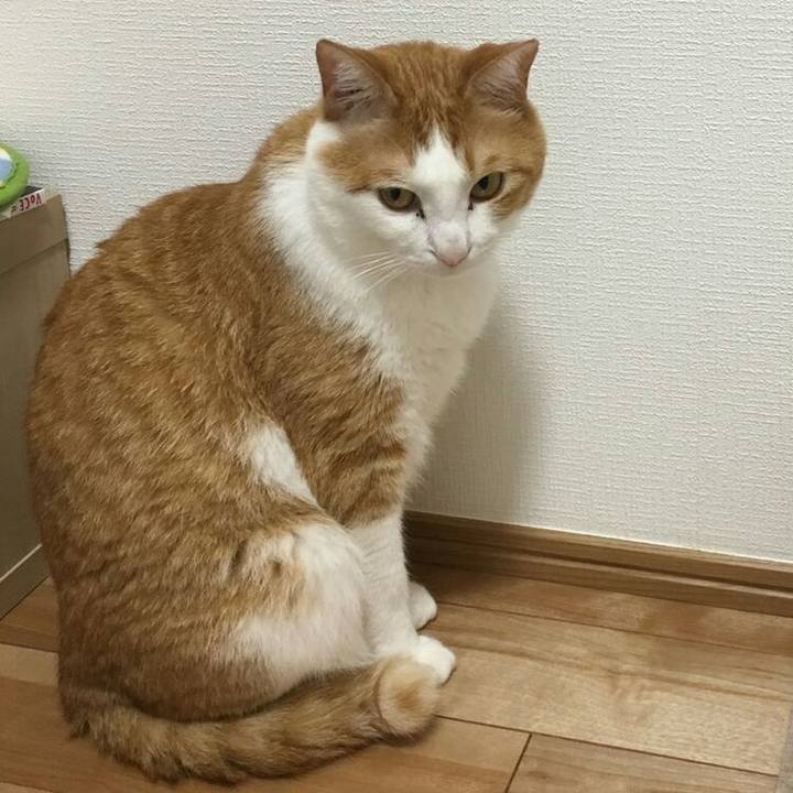 5ee33ae3 0ac3 49b0 8dd0 acbea52c5024