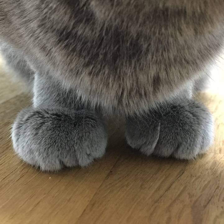 5ee40d55 3d00 4378 8bde b4c79b9c0827