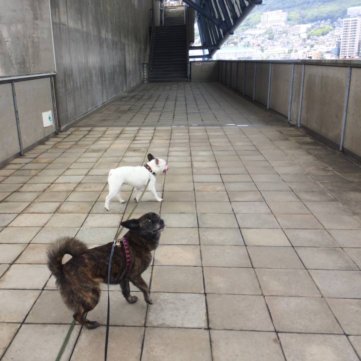 5ee43011 17ca 4053 a3b8 d7d9fea79f2e