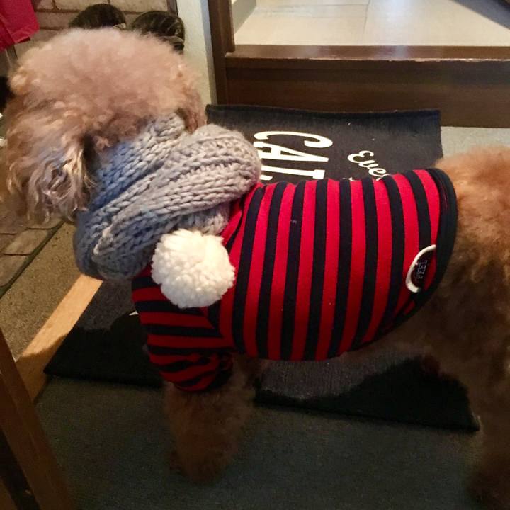 5ee45123 916d 4e7d 93b9 94bf8d48a981