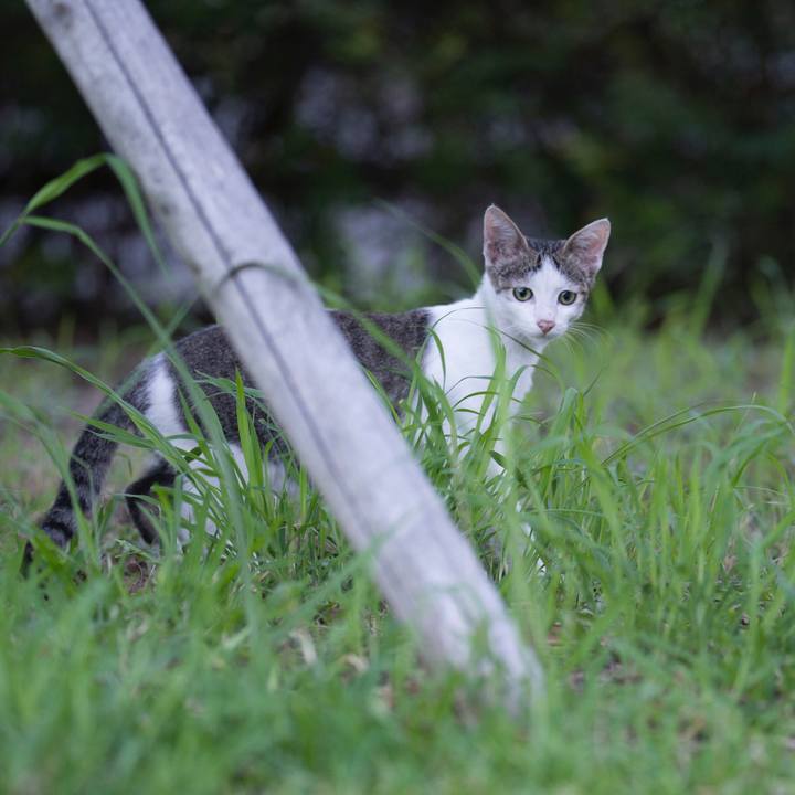 5ee46f6b 6ef2 423a 8e35 e792c7454cf5