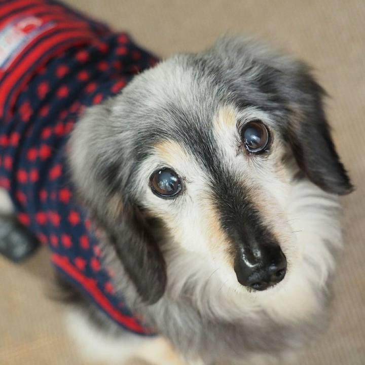 5ee55690 9bb4 4386 ae44 58ac3503a20b