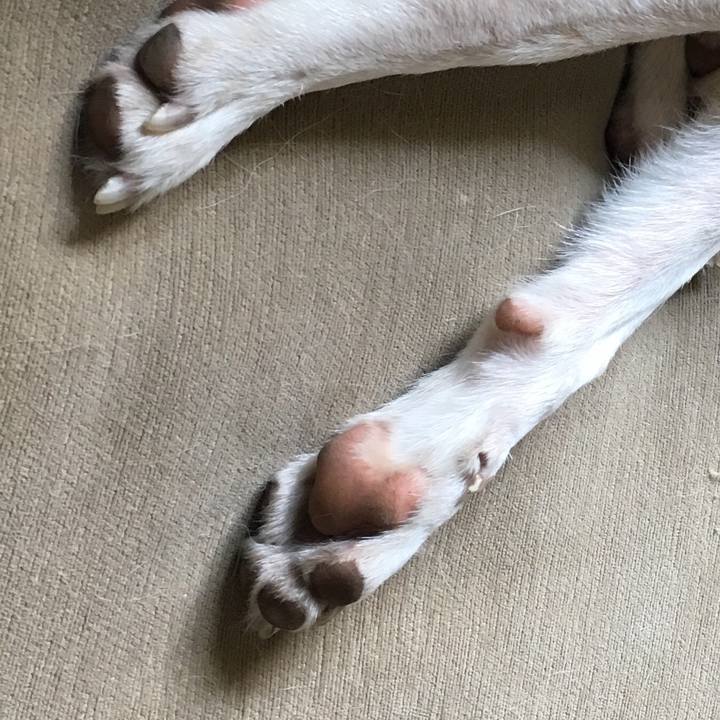 5ee589b1 89c6 4b14 b5f2 19d8a237cbb6