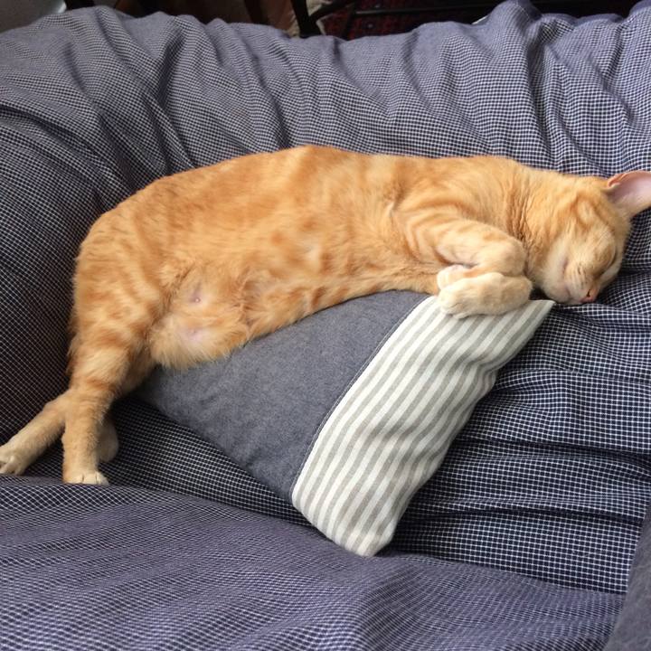 5ee59241 29b0 4f97 a17e 53aad3570d09