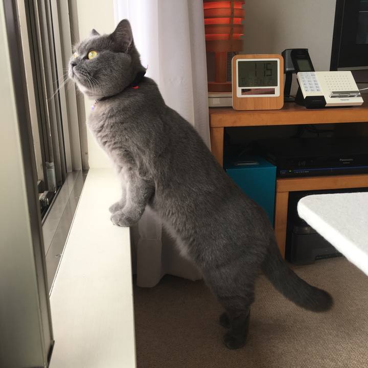 5ee66737 8f09 47fb bbc6 898ce01f7d2b