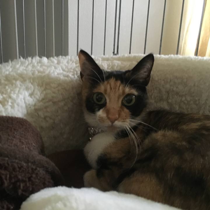 5ee6809f 6f88 4bef aa2b f1336306ffa0