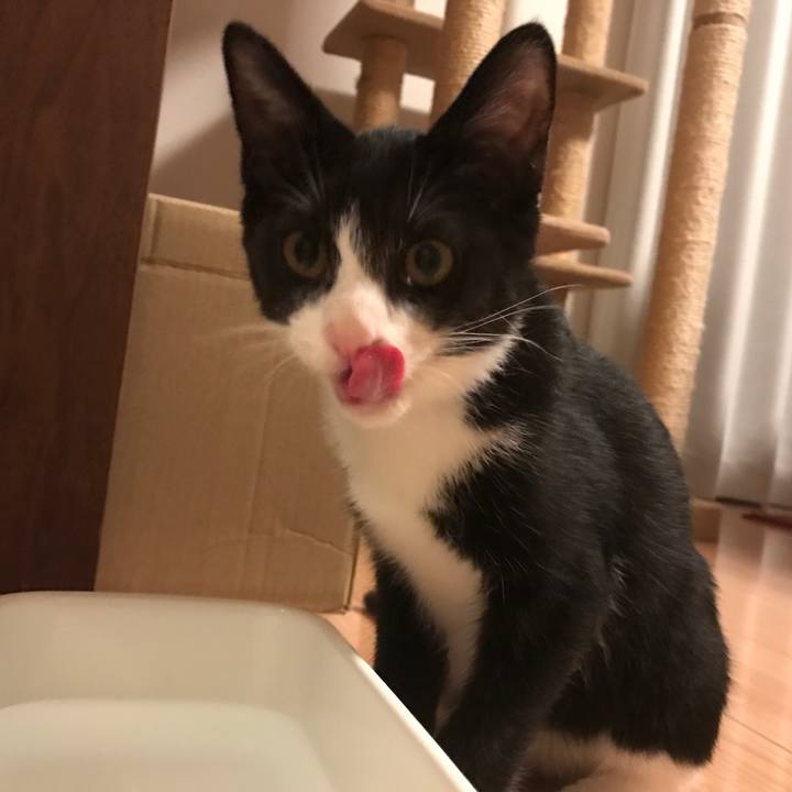 5ee684f5 0675 4b3c 9274 ec7b0f61b850