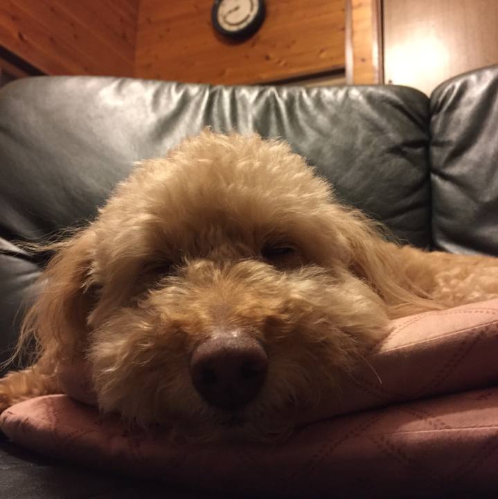 5ee6c3b4 ca75 4f6e bfee 08f23a8c644e