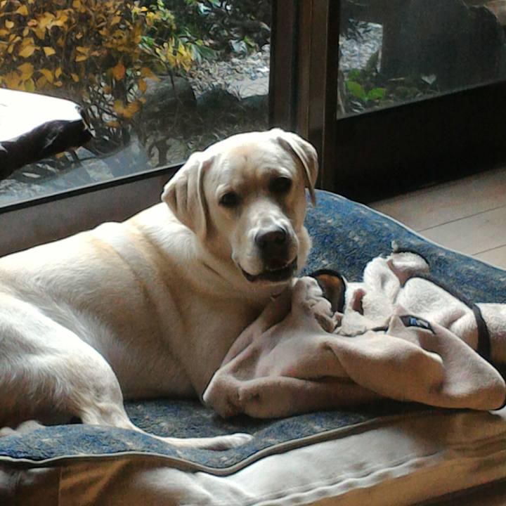 5ee6d879 cf99 483a 80ef 94c53c4641dc