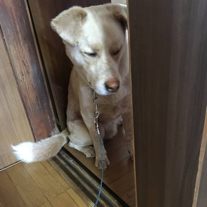 5ee76ee4 bacc 4e7c 8a97 1704fe676e93