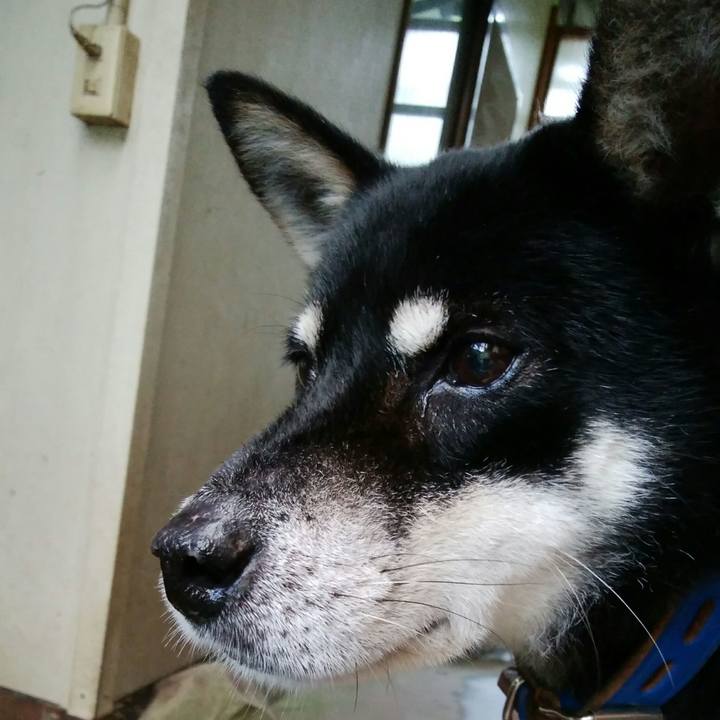 5ee7a520 534f 413f b476 70302cc7a472