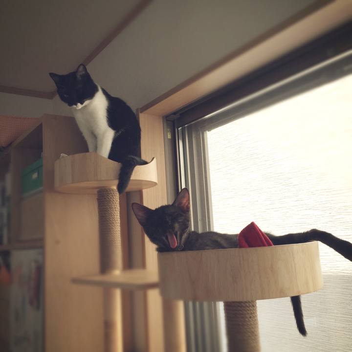 5ee80d4d 8e17 4d2a 8fdc f6166d5c1694