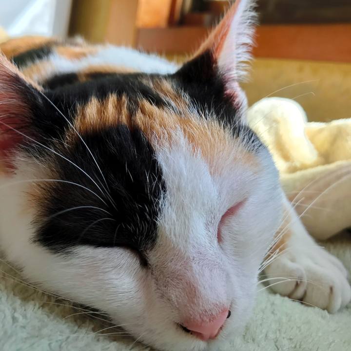 5ee82de0 83fc 4c08 959c 730c5ac60ff7