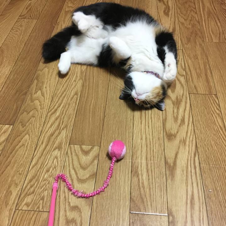 5ee8421a dda2 4e26 9a6b 4de1e2978b8c