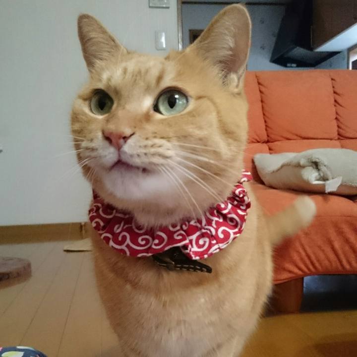 5ee84b19 0c4c 41d8 9380 225fad5d661e