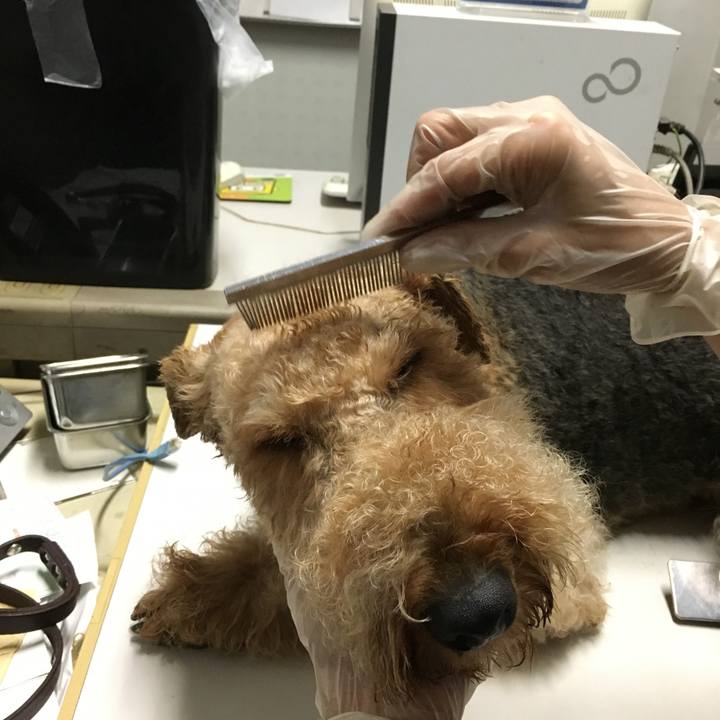 5ee89bb7 a528 4759 adf1 f13c6d626e5f