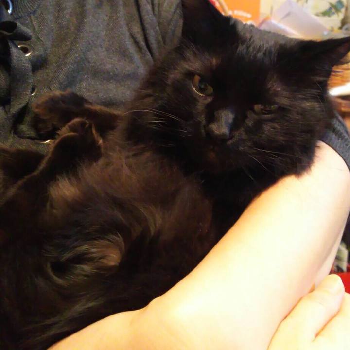 5ee8a185 bdc8 40e1 8409 4fa171cc1805