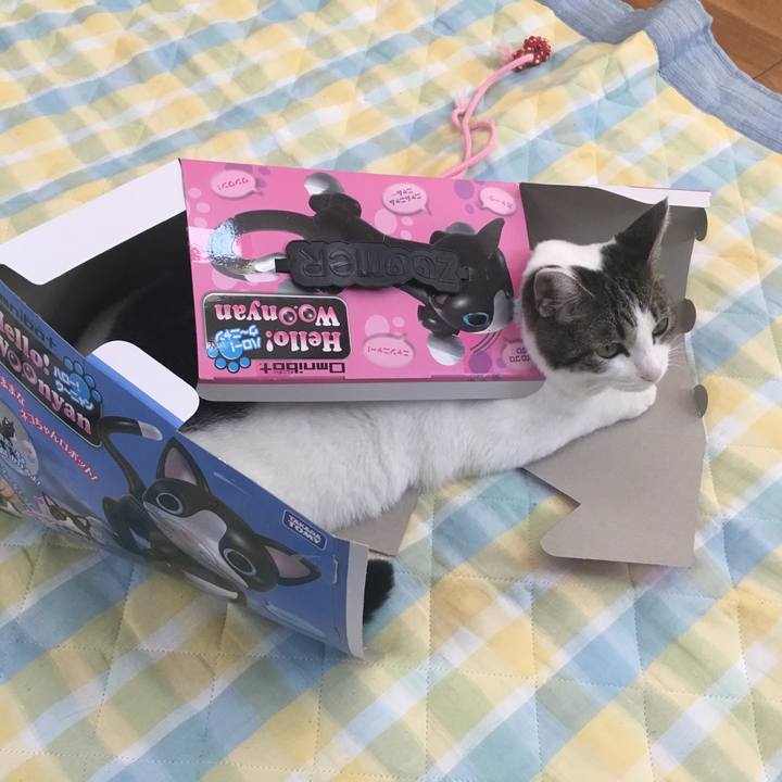 5ee9661a 58c9 4748 83ce e9891cddb4ed