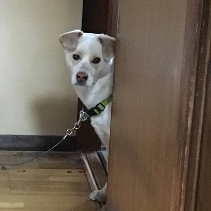 5ee9eea5 5025 4b16 9ecd 7dcab6e70ee2